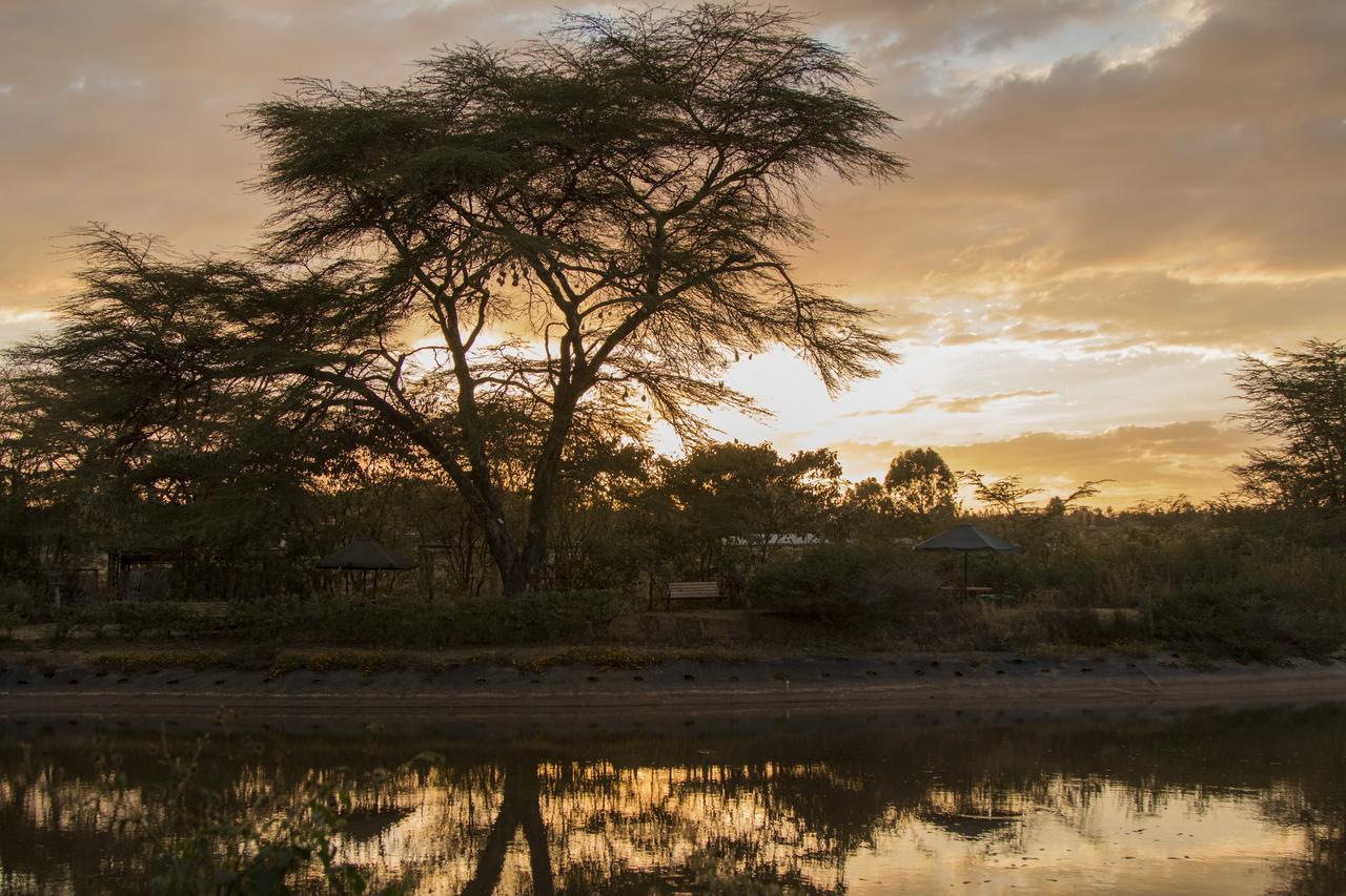 Ziwa Bush Lodge Nakuru Buitenkant foto